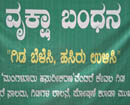 Mangalore: Sahyadri Samrakshana Sanchaya ties Rakhis to trees in city